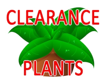 Clearance Plants