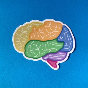 Colorful Rainbow Brain Vinyl Sticker; psychology, neurology, neuropsychology, brain scan, neuroscience, counseling
