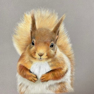 RED SQUIRREL Limited Edition Fine Art Print, British Wildlife, Animal Art, Home Decor, Wall Art, Signed Illustrations