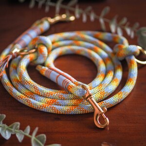 Hundeleine I Tauleine I Orange-Gelb-Blau I Spring Vibes