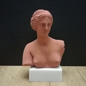 Venus de Milo - Aphrodite Bust Head 7.87in - 20cm Alabaster & White Marble Handmade Sculpture Free Shipping - Free Tracking Number