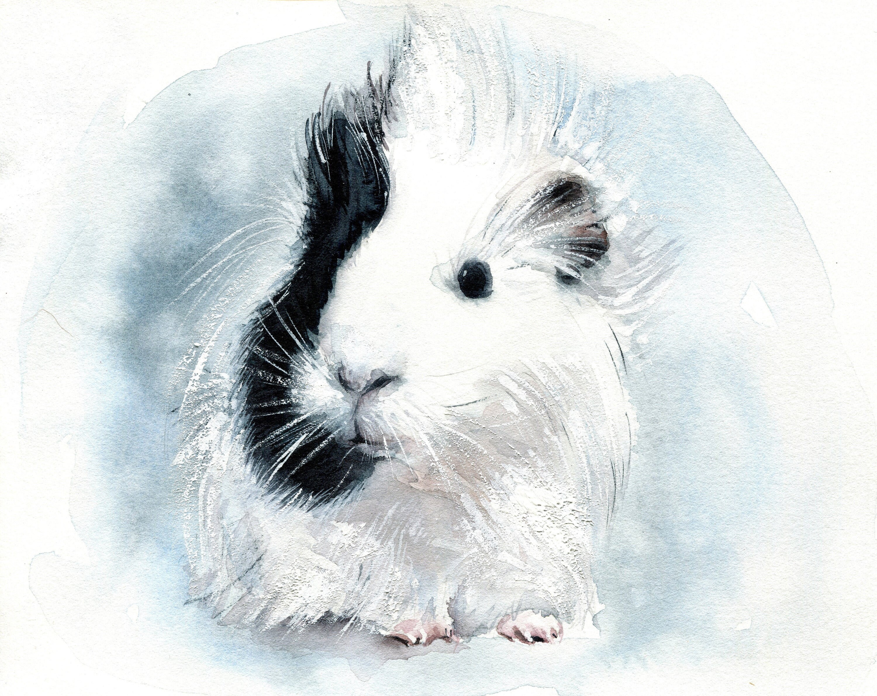 Guinea Pig Custom Portrait Watercolor Pet Memorial Gift Etsy