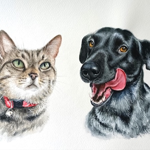 Ritratto personalizzato di un gatto ad acquerello - Gatto e cane insieme, regalo di condoglianze dipinto a mano - Disegno commemorativo di un animale domestico da una foto