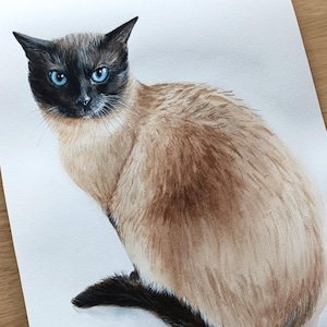 Ritratto personalizzato di un gatto ad acquerello - Regalo di simpatia per un gatto dipinto a mano - Disegno commemorativo di un animale domestico da una foto