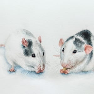 Ritratto commemorativo personalizzato del ratto Dumbo da foto - piccolo ritratto ad acquerello di un animale domestico - regalo per genitori di ratti
