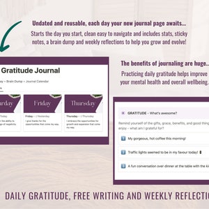 Showing the Daily gratitude journal and the input boxes for the 3 daily gratitudes.