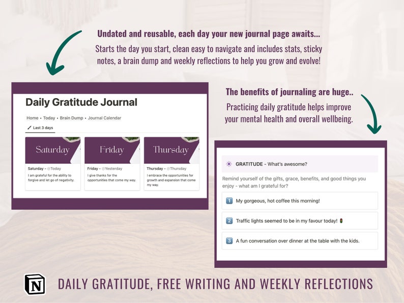 Showing the Daily gratitude journal and the input boxes for the 3 daily gratitudes.