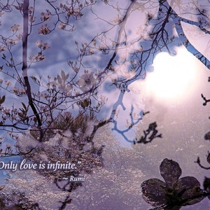 Unendliche Liebe Rumi Sympathy Karte, Eco freundliche Sympathie, Nur Liebe ist unendlich Zitat von Rumi, schönes Licht auf Zweigen Beileidkarte