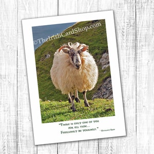 Carte d'anniversaire de mouton irlandais, carte d'anniversaire irlandaise, soyez vous-même sans crainte, slieve league, bénédiction irlandaise, anniversaire de bénédiction irlandaise, anniversaire de gars