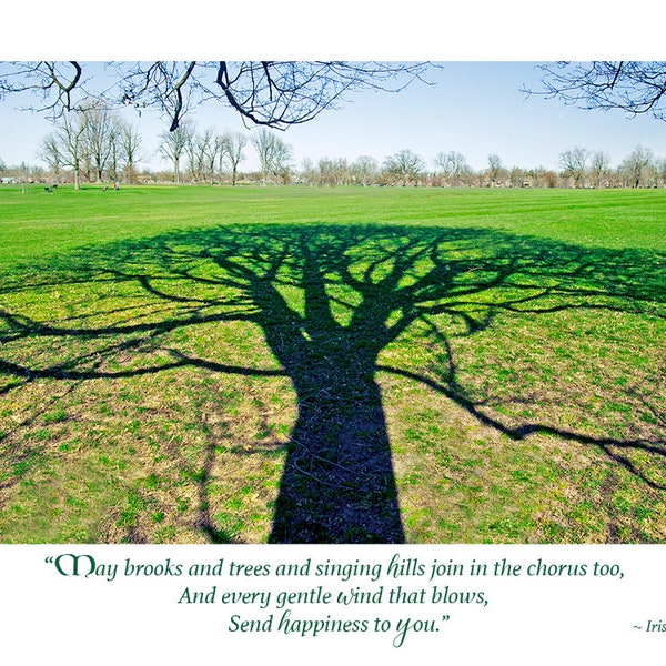 Tree of Life Irish Birthday card, Irish birthday card, Irish blessing birthday card, May brooks and trees, Irish tree of life birthday