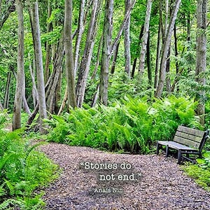 Geschichten enden nicht, Beileidskarte, Anais Nin Beileidskarte, Anais Nin Beileidskarte, Eco freundliches Beileid, Bank im Wald Beileid Karte