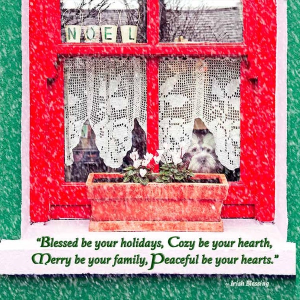 Dog In Window Christmas Card, Irish Christmas card, Irish Blessing card, Irish photo card, Eco friendly cards, Irish holiday card