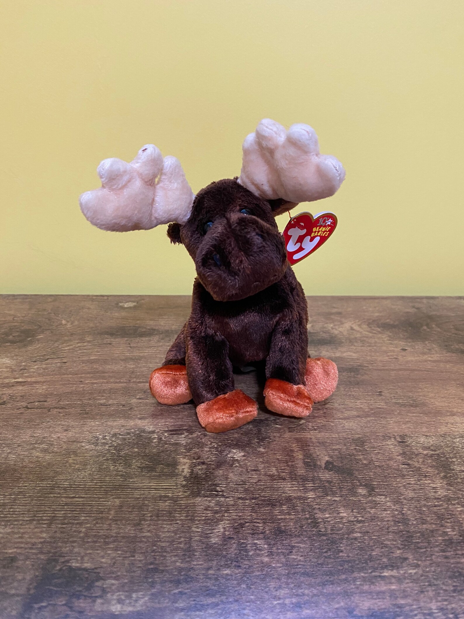 Zeus the moose TY Beanie Babies | Etsy