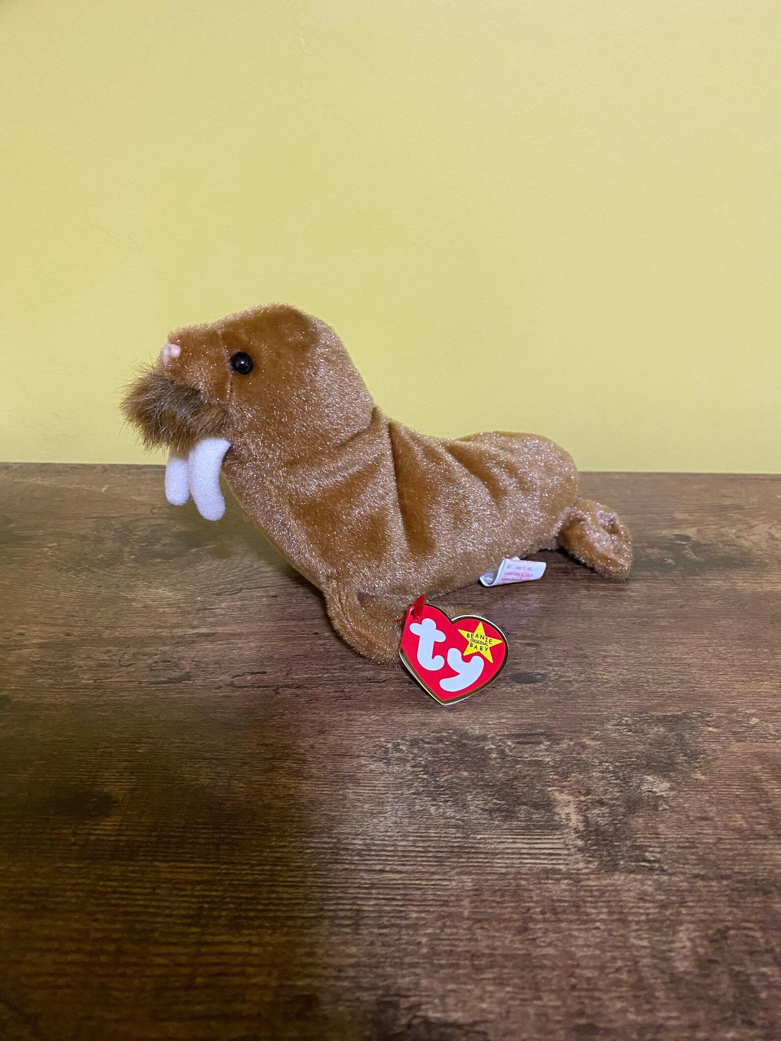 Paul the Walrus TY Beanie Babies | Etsy