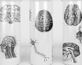 Personalized Neurobiology Brain Anatomy | 20oz Skinny Tumbler | Fun Gift for Neurobiologist, Psychiatrist, Geniuses, Neurodivergent