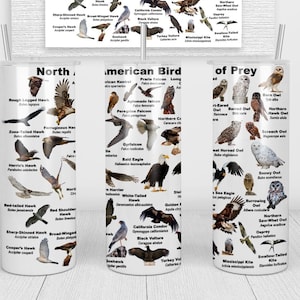 North American Birds of Prey Tumbler, Cup | 20oz Skinny Tumbler | Funny Gift for Wildlife Lover, Falconer, Educator