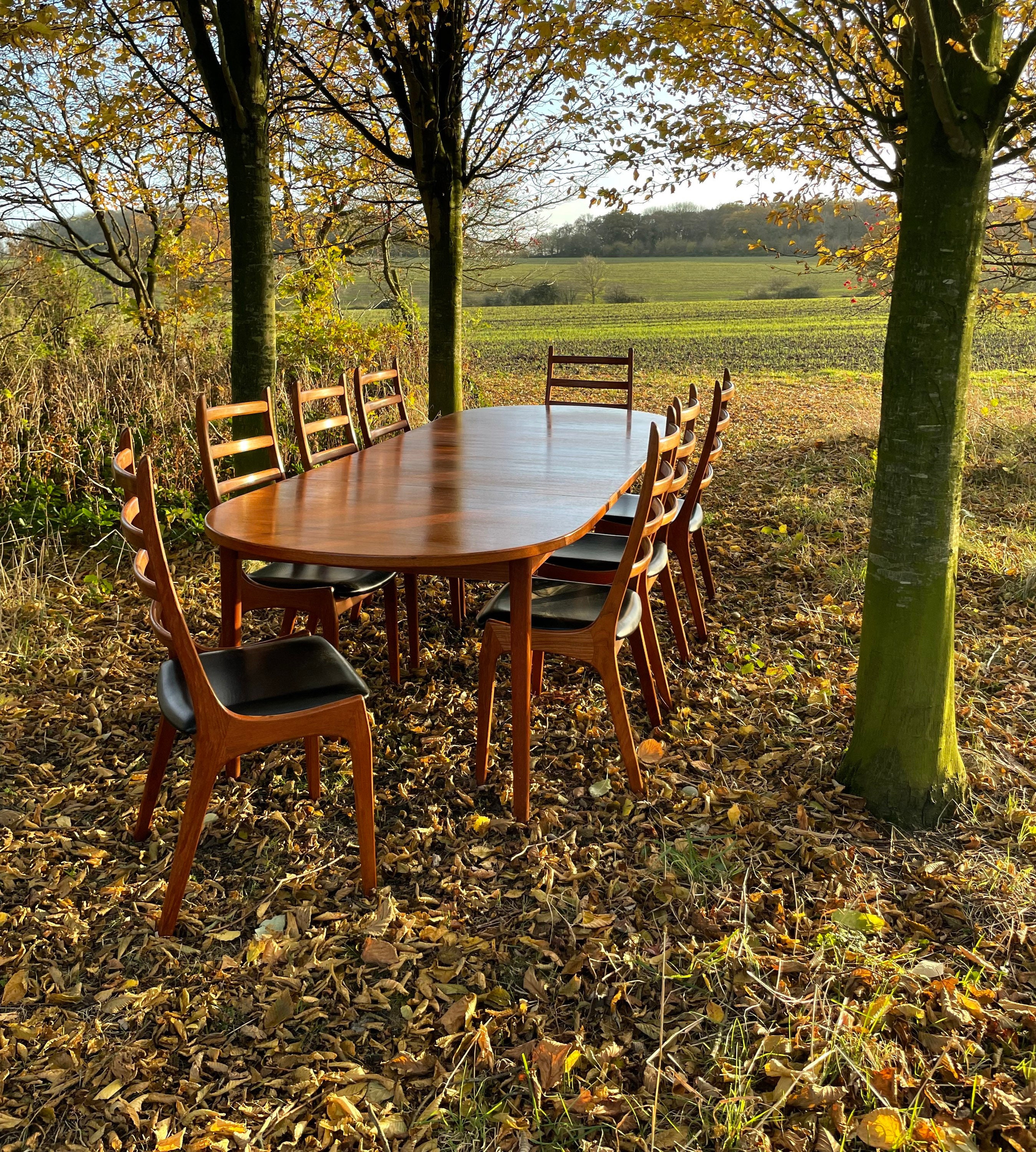 Mid century modern 9 piece dining set deals