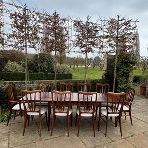 Mid Century Modern Danish Rosewood  Large  Dining Table and 10 Rosewood Dining chairs by Niels Keofoed 1960