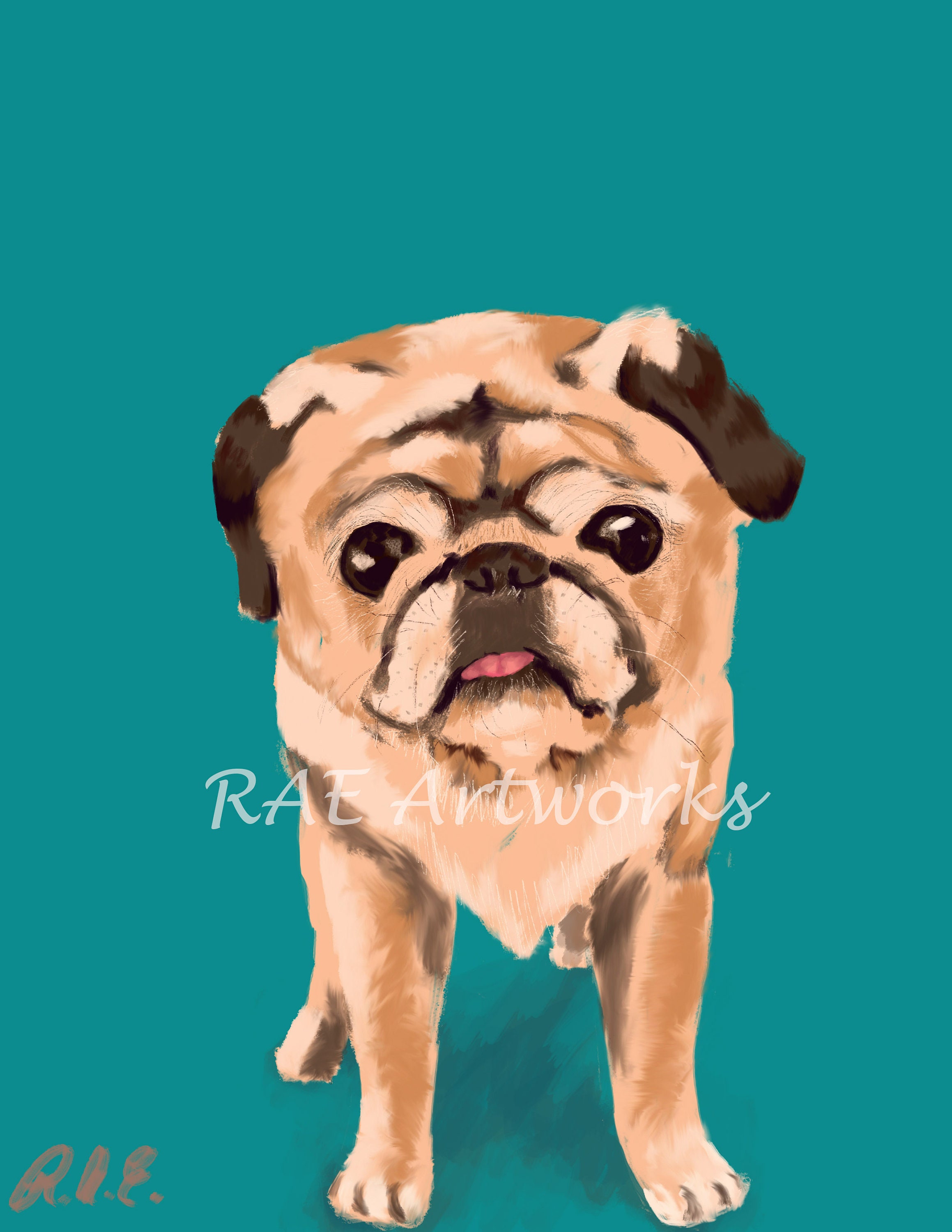 Pug Wallpaper - Etsy Pug Wallpaper - Etsy