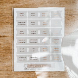 Bible Tabs Neutral Copper | Matte-Coated Sticker Tabs | Bible Tabs for Men and Women | Journaling Supplies | Bible Devotionals | Laminated