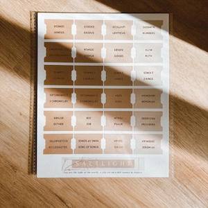 Bible Tabs Sand Beige | Matte-Coated Sticker Tabs | Bible Tabs for Women | Journaling Supplies | Bible Devotionals | Neutral
