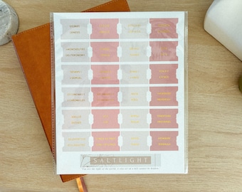 Blush Pink Bible Tabs | Gold Foil, Matte-Coated Stickers