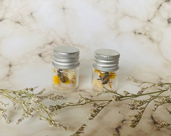 Honeybee Oddity Jar, Dried Flowers Entomology Display