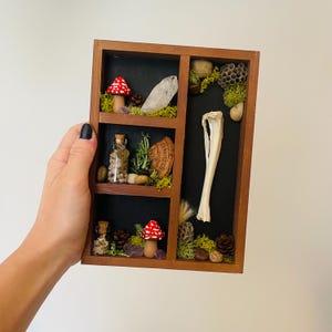 Oddity Box: Cottagecore Woodland Theme.Curio Case, Bones & Oddities, Wall Hanging, Curiosities, Nature Lover, Bones, Mystery Box, Witchy Art