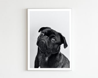 Mops Wandkunst, Mops Poster, Mops Bild Mops Poster, Hund Kunst, Hund Print, Welpe Kunst, Kinderzimmer Kunst, Tier Digitaler Download, Lustige Wandkunst