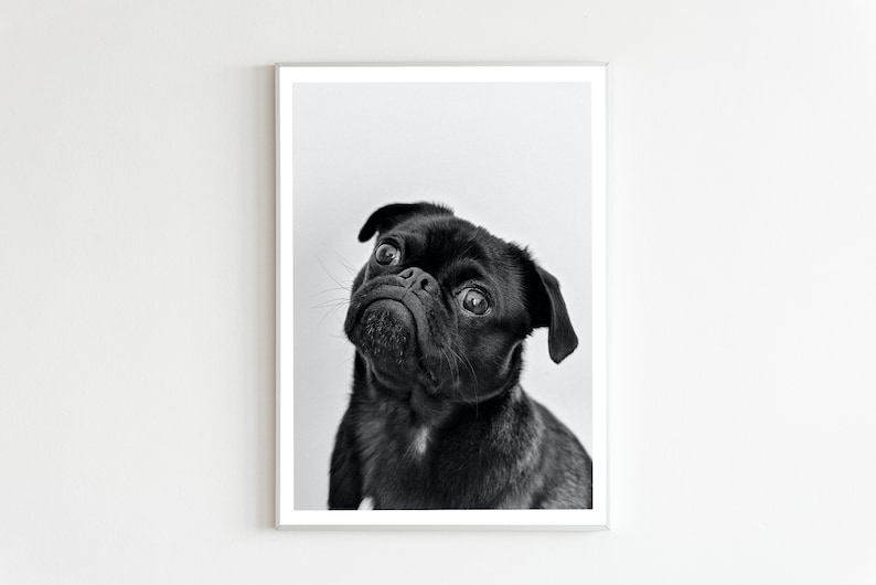 Pug Wall Art, Pug Print, Pug Picture Pug Poster, Dog Art, Dog Print, Puppy Art, Nursery Art