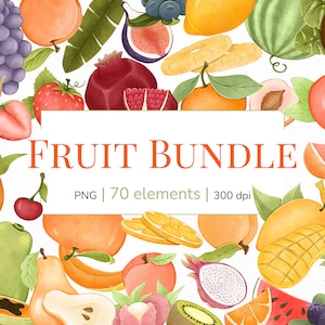Paquete de clipart de frutas exóticas / Paquete de clipart de frutas / Clipart tropical / Clipart de variedad de frutas / Limón / Naranja / Coco / Cereza