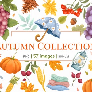 Clipart de outono ⦁ clipart de folhas de outono ⦁ clipart de colheita ⦁ clipart do dia de Ação de Graças ⦁ clipart de abóbora ⦁ clipart de outono clipart de outono digital