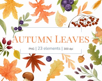 Autumn leaves clipart | Fall leaves clipart | Autumn clipart | Cute fall clip art | Autumn leaves PNG | Watercolor autumn clipart