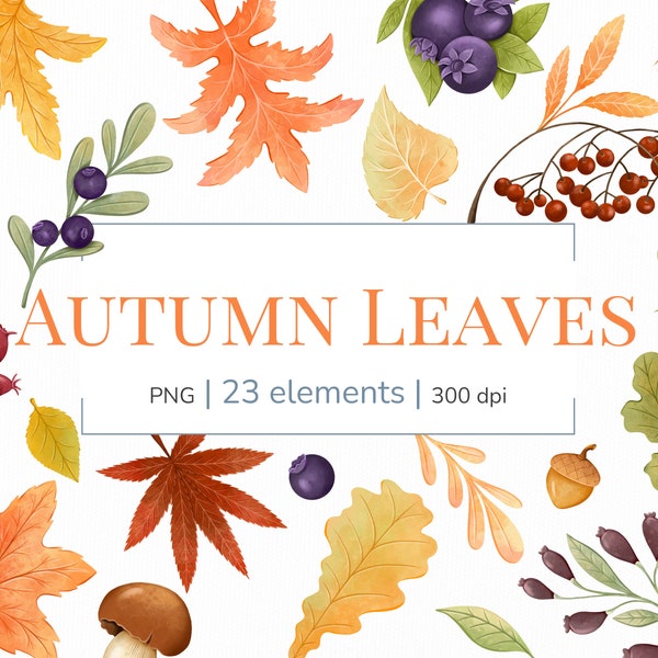 Herbst blätter clipart | Herbstblätter Clipart | Herbst Clipart | Niedliche Herbst Clip Art | Herbstblätter PNG | Aquarell Herbst Clipart