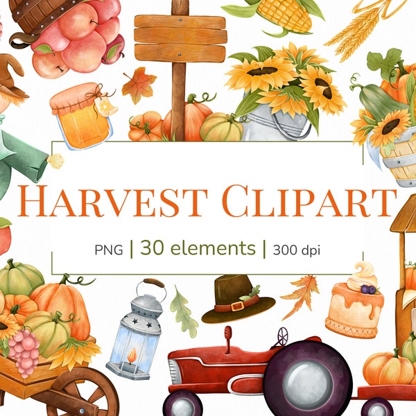 Fall clipart | Harvest clipart | Thanksgiving clipart png | Apple clipart | Pumpkin clipart | Sunflower clipart | Autumn watercolor clipart