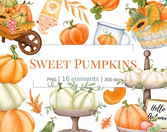 Pumpkin clipart | Fall clipart | Thanksgiving day clipart | Autumn clipart | Pumpkin stickers | Pumpkin png | Pumpkin sublimation designs