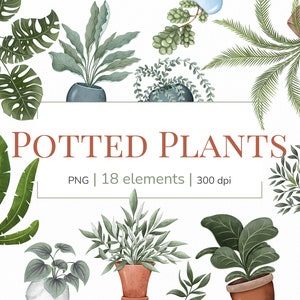 Clipart de plantas em vasos | Clipart de vaso de flores | Clipart de jardim rústico | Clipart de estufa | Clipart de suculentas | Vaso aquarela flores png