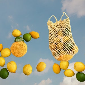 May include: A yellow crocheted mesh bag filled with lemons and limes. The bag is hanging in the air against a blue sky with white clouds.