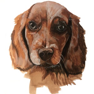 A3 Haustier Portrait