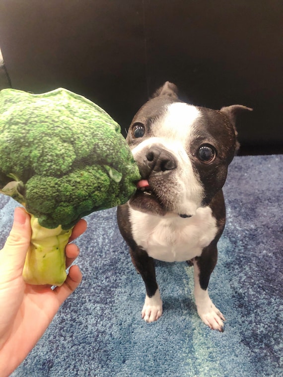 Durable Dog Toys Basket/ Puppy Gift Set Durable Etsy UK