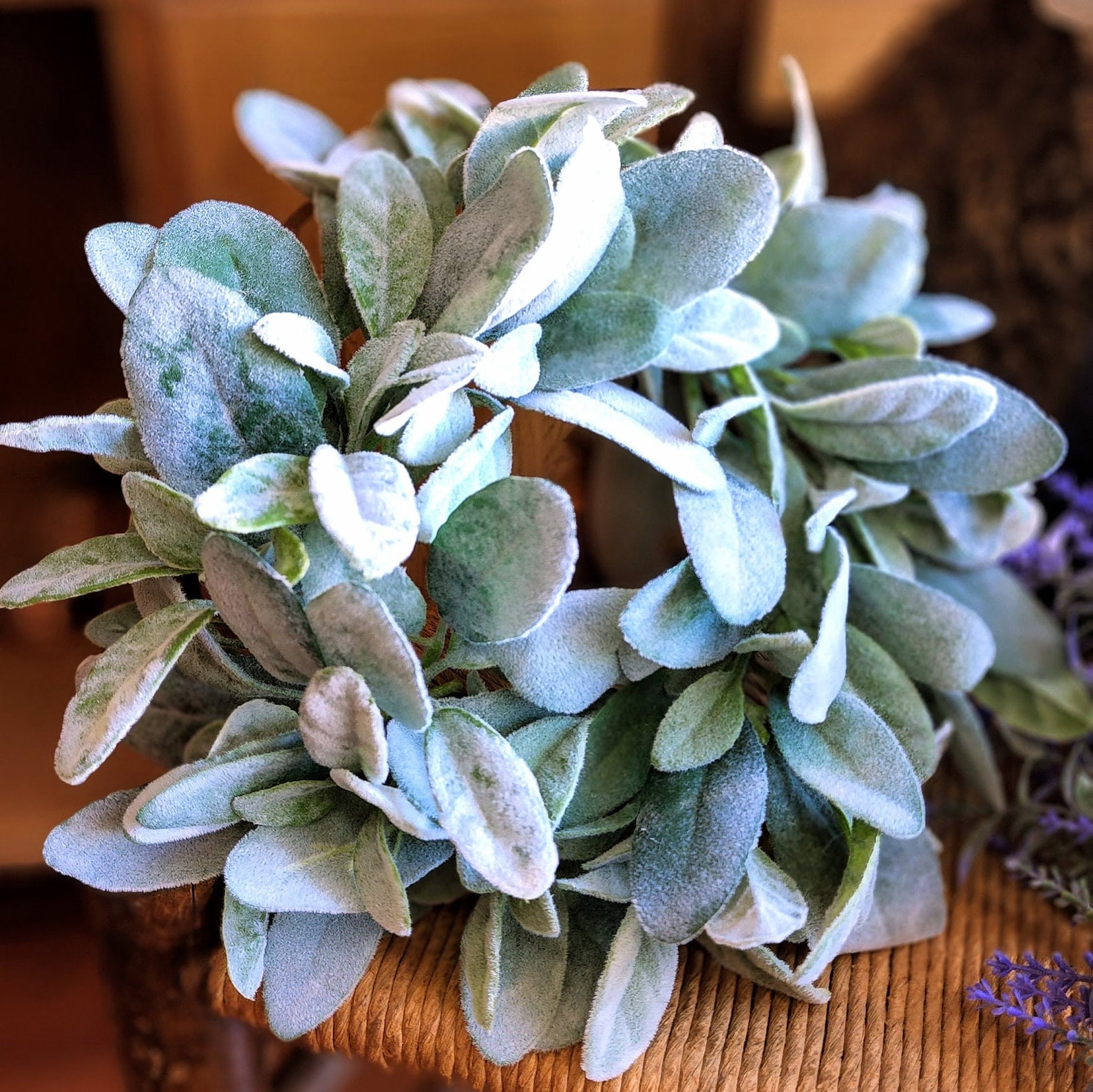 Lambs Ear Wreath Candle Ring Candle Ring for Pillar Candles Etsy