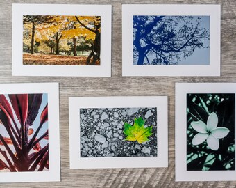 Photo Note Cards