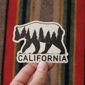 Sticker: California Black Bear Permanent Sticker Decal with Pine Trees and Starry Night