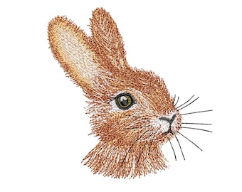 Machine Embroidery Bunny, 4  Sizes+ 3 Smal. Animal. Easter Rabbit Machine Embroidery Designs.