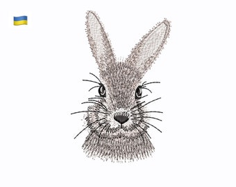 Peut inclure: Un gros plan sur le visage d'un lapin gris avec de longues moustaches. Le lapin a de grandes oreilles et des yeux noirs.