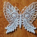 see more listings in the FSL  Butterflies section