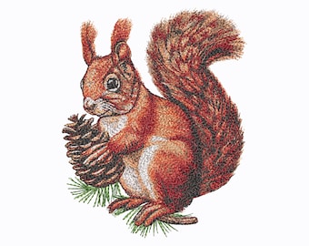 Realistic Squirrel on a branch with a cone. Machine Embroidery Designs, 5 Sizes.