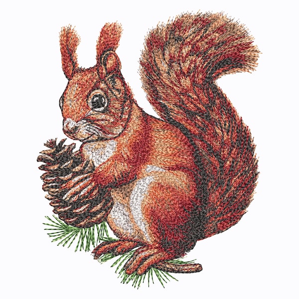 Realistic Squirrel on a branch with a cone. Machine Embroidery Designs, 5 Sizes.