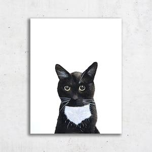 Tuxedo Cat Art Portrait For Sale - Tuxedo Cat (Open Edition Print)