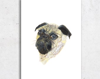 Pug Art For Sale - Pugshot (Open Edition Print)